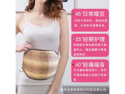 光子腰带加热能量腹带负离子球黄土球光子灯玉石护腰玉石加热腰带图2
